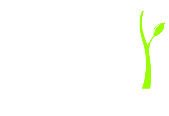 Grace Ada | Groups
